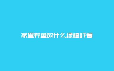 家里养鱼放什么绿植好看