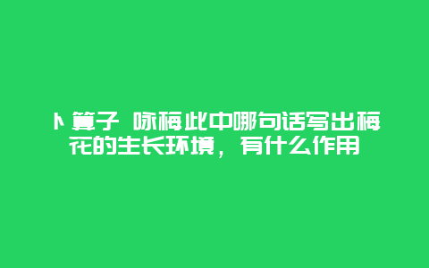 卜算子 咏梅此中哪句话写出梅花的生长环境，有什么作用