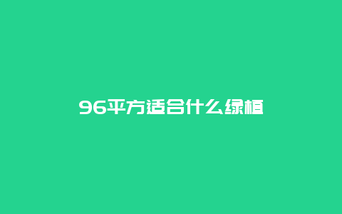 96平方适合什么绿植