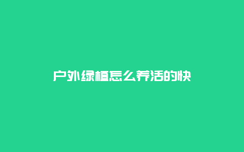 户外绿植怎么养活的快