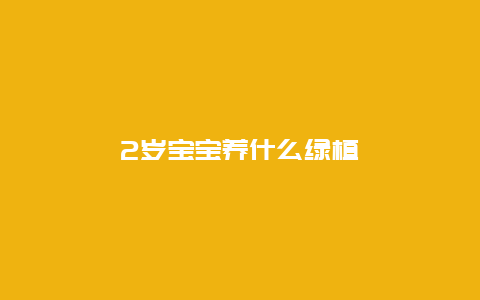 2岁宝宝养什么绿植