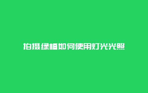 拍摄绿植如何使用灯光光照