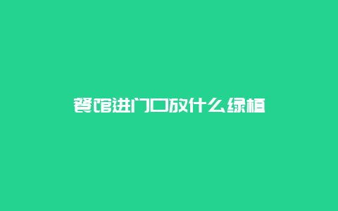 餐馆进门口放什么绿植