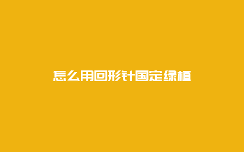 怎么用回形针国定绿植