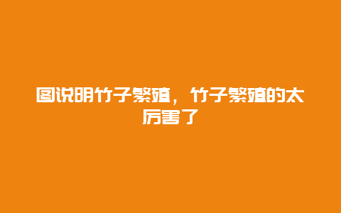 图说明竹子繁殖，竹子繁殖的太厉害了