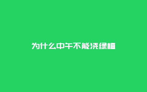 为什么中午不能浇绿植