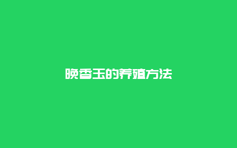 晚香玉的养殖方法