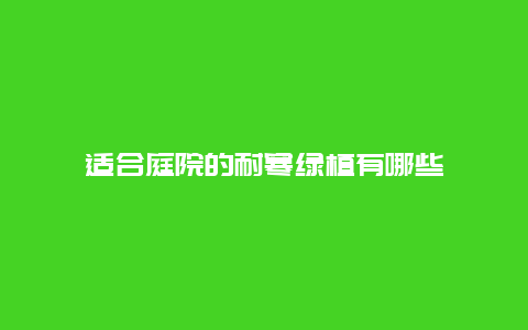 适合庭院的耐寒绿植有哪些