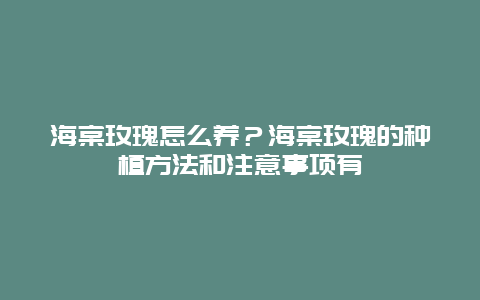 海棠玫瑰怎么养？海棠玫瑰的种植方法和注意事项有