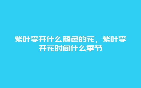 紫叶李开什么颜色的花，紫叶李开花时间什么季节