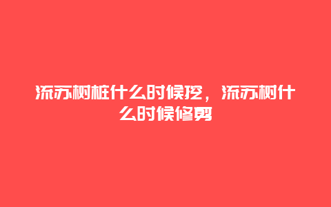 流苏树桩什么时候挖，流苏树什么时候修剪