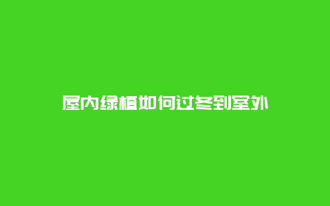 屋内绿植如何过冬到室外