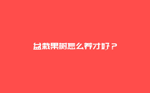 盆栽果树怎么养才好？