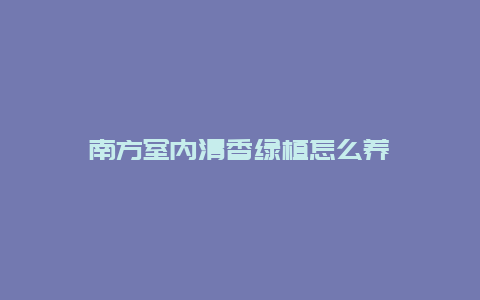 南方室内清香绿植怎么养