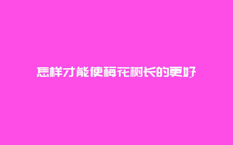 怎样才能使梅花树长的更好