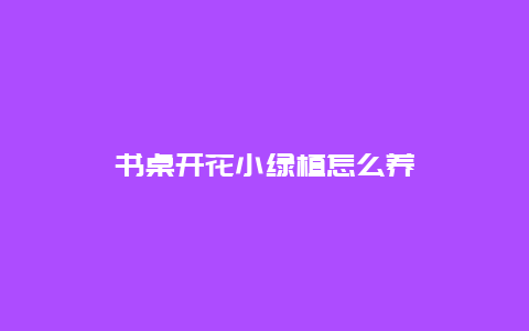 书桌开花小绿植怎么养