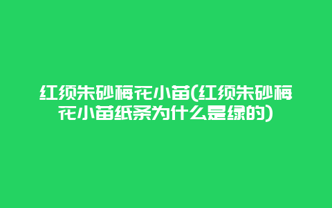 红须朱砂梅花小苗(红须朱砂梅花小苗纸条为什么是绿的)