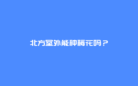 北方室外能种梅花吗？