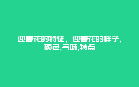 迎春花的特征，迎春花的样子,颜色,气味,特点