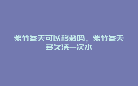 紫竹冬天可以移栽吗，紫竹冬天多久浇一次水