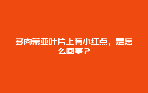 多肉蒂亚叶片上有小红点，是怎么回事？