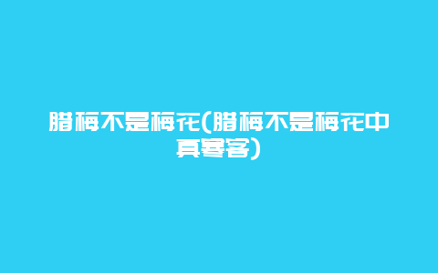 腊梅不是梅花(腊梅不是梅花中真寒客)