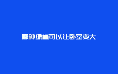 哪种绿植可以让卧室变大