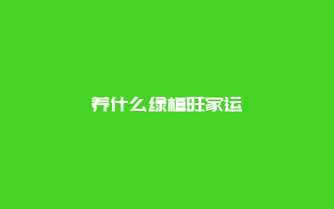 养什么绿植旺家运