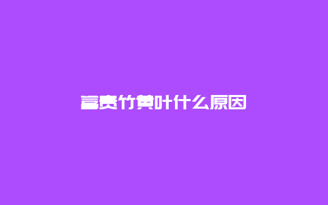 富贵竹黄叶什么原因