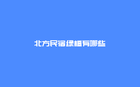 北方民宿绿植有哪些