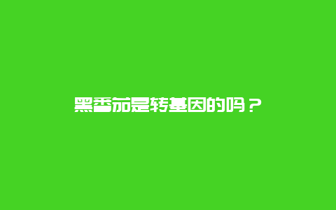 黑番茄是转基因的吗？