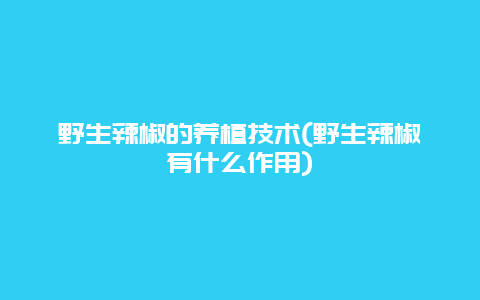 野生辣椒的养植技术(野生辣椒有什么作用)