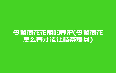 令箭荷花花期的养护(令箭荷花怎么养才能让枝条爆盆)