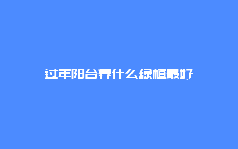 过年阳台养什么绿植最好