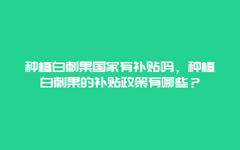 种植白刺果国家有补贴吗，种植白刺果的补贴政策有哪些？