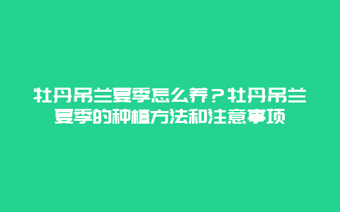 牡丹吊兰夏季怎么养？牡丹吊兰夏季的种植方法和注意事项