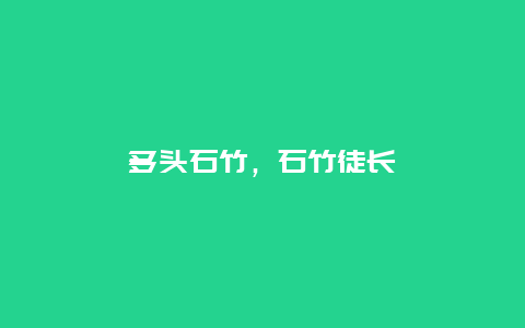 多头石竹，石竹徒长