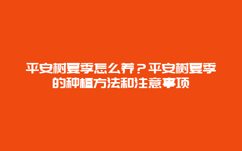 平安树夏季怎么养？平安树夏季的种植方法和注意事项