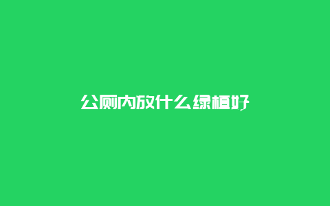 公厕内放什么绿植好