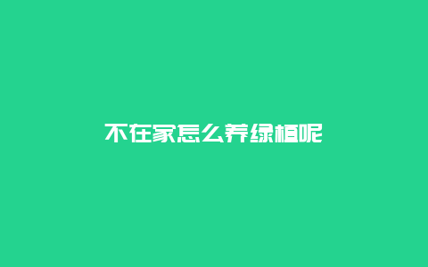 不在家怎么养绿植呢