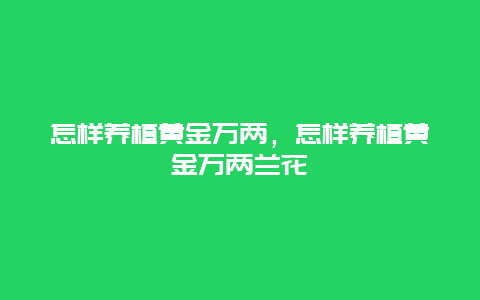 怎样养植黄金万两，怎样养植黄金万两兰花