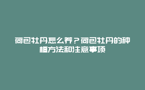 荷包牡丹怎么养？荷包牡丹的种植方法和注意事项