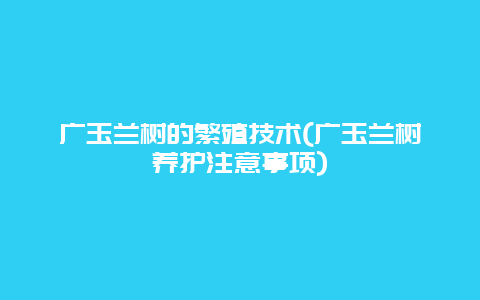 广玉兰树的繁殖技术(广玉兰树养护注意事项)