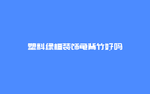 塑料绿植装饰龟背竹好吗