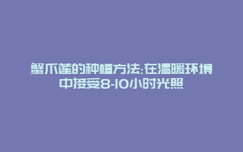 蟹爪莲的种植方法:在温暖环境中接受8-10小时光照