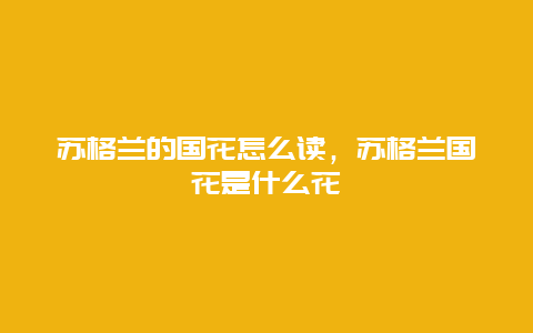 苏格兰的国花怎么读，苏格兰国花是什么花