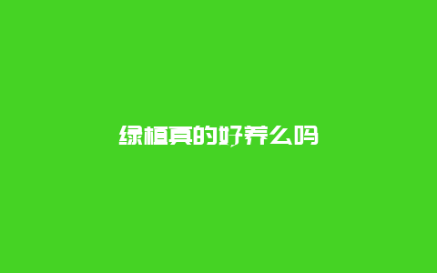 绿植真的好养么吗