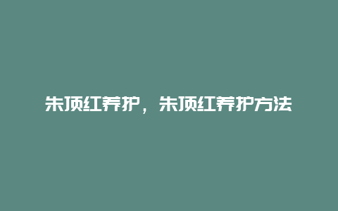 朱顶红养护，朱顶红养护方法