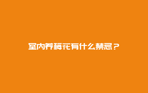 室内养梅花有什么禁忌？