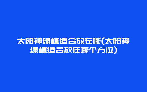 太阳神绿植适合放在哪(太阳神绿植适合放在哪个方位)